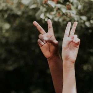 Principios básicos de tus derechos humanos