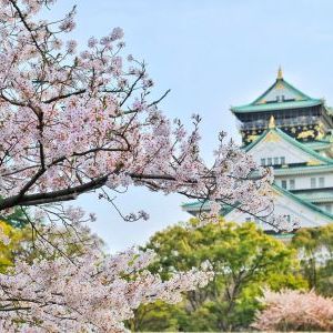 Aprende japonés desde cero hoy mismo