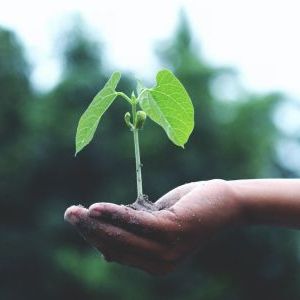 ¿Cómo hablar con los alumnos sobre cambio climático?