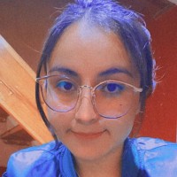 Profesor - Melanie Perez