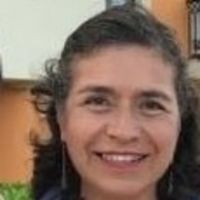 Profesor - Maria Luz Torres Guerrero