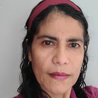 Profesor - Elysa Martínez