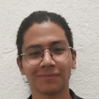 Profesor - Oscar Rodrigo Castro González