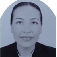 Profesor - Silvia Elvira Cruz Avila