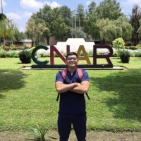 Rene Alamilla  profesor  Matemáticas En línea