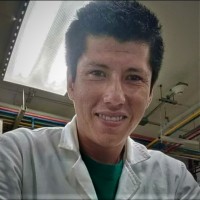 Profesor Hugo Enrique Santibañez - BuscaTuProfesor
