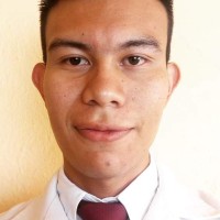 Profesor - Luis Fernando Carrillo Guerrero