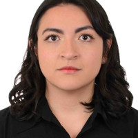 Profesor - Gabriela  Fattel