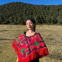 Profesor - Angélica Valladares Rodríguez