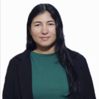 Profesor - Rosa Isela Martinez Velazquez