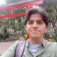Profesor - Sergio Vullegas