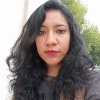Profesor Ana Karen Huerta Hernandez - BuscaTuProfesor