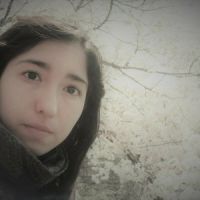 Profesor - María de Lourdes Mejía Guevara