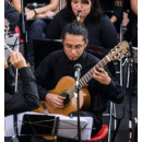 Profesor - César L V.