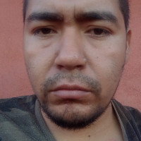 Profesor - Daniel Garduño