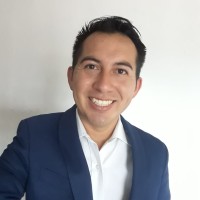 Profesor - Ing. Izcoatl Arenas