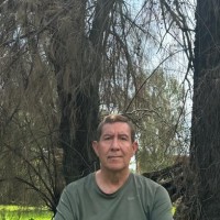 Profesor - José Luis Peralta Abarca