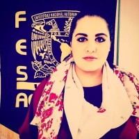 Profesor - Daniela Fernández Betancourt