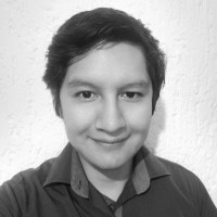 Profesor Victor Manuel Flores Flores - BuscaTuProfesor