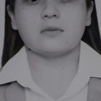 Profesor - Leslie Velarde