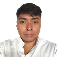 Profesor Pedro Alberto Gonzalez Viveros - BuscaTuProfesor