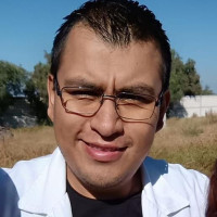 Profesor - Luis Pacheco