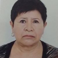 Profesor - Virginia Barbosa