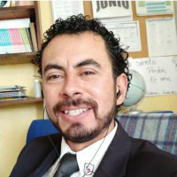 Profesor - Carlos Bustamante