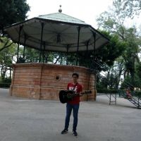 Profesor - Guillermo Gomez Lopez