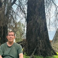 Profesor José Luis Peralta Abarca - BuscaTuProfesor